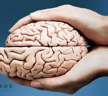 سلامت مغز ، پیر شدن مغز ، پیرمغزی